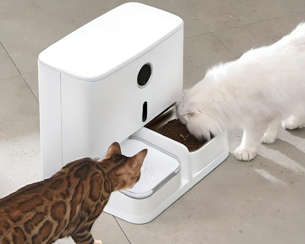 cat automatic pet feeder