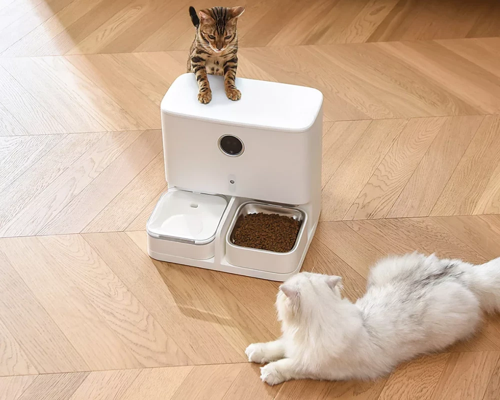 pet food dispenser