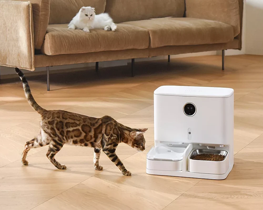 top pets automatic feeder