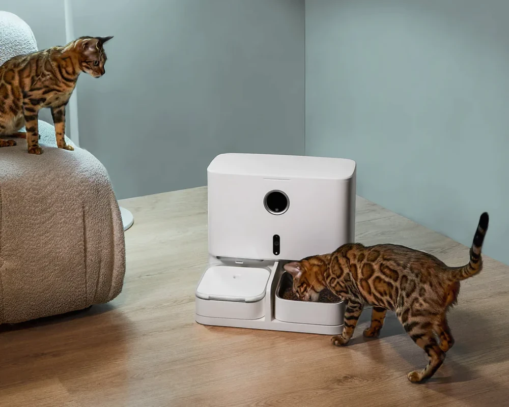 automatic pet feeding system